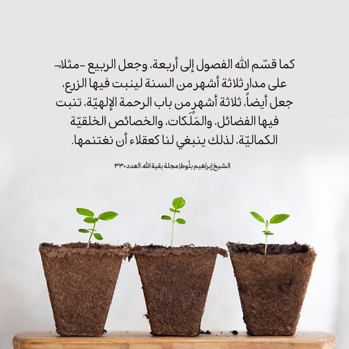 p_151605r3a1.jpg