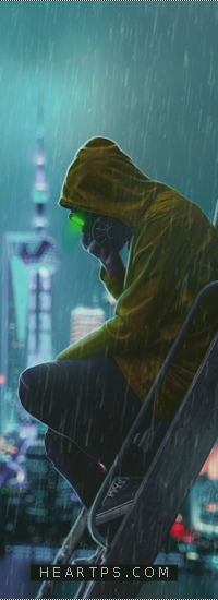 ���� ���� ������ �� ���� ������