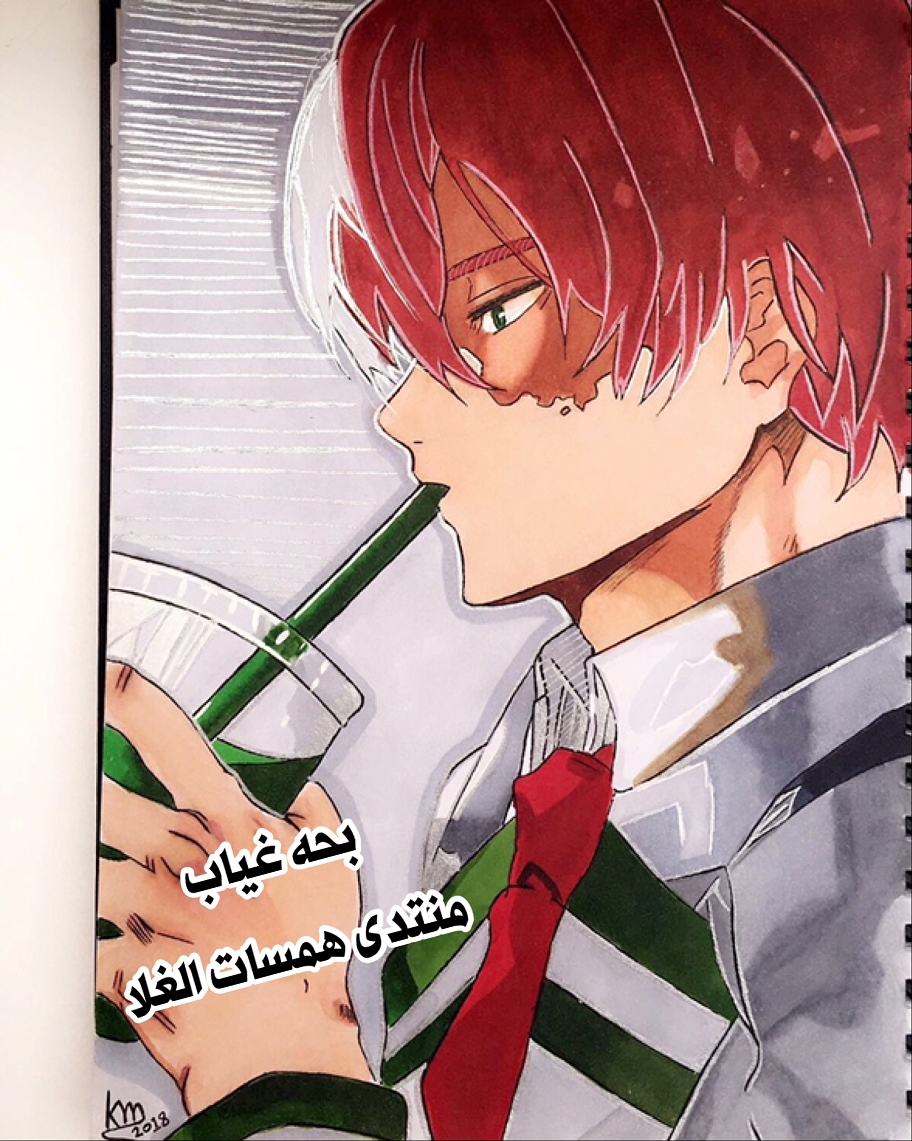 Shouto Todoroki