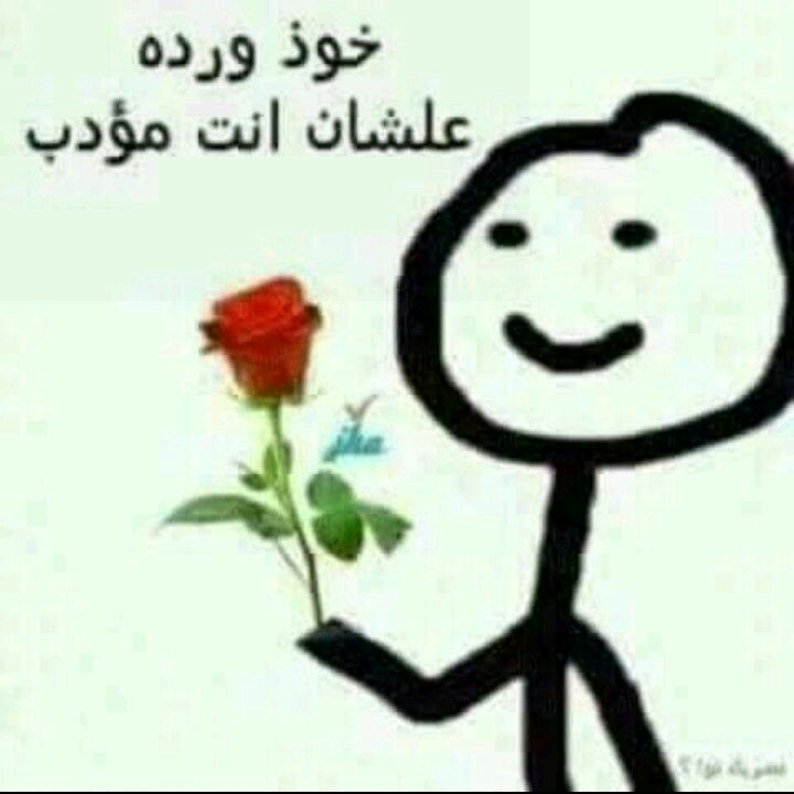 ���� ���� ������ �� ���� ������