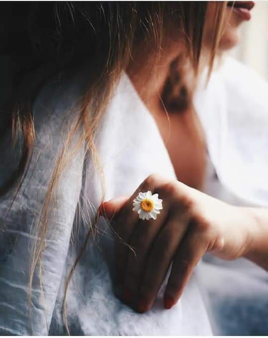 ���� ���� ������ �� ���� ������