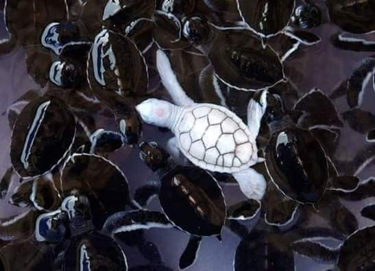 ���� ���� ������ �� ���� ������