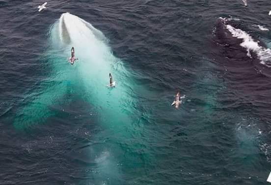 ���� ���� ������ �� ���� ������