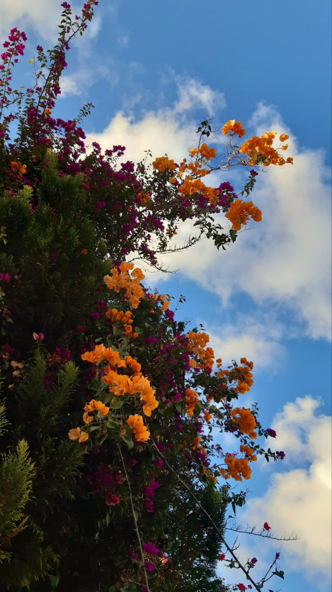 ���� ���� ������ �� ���� ������