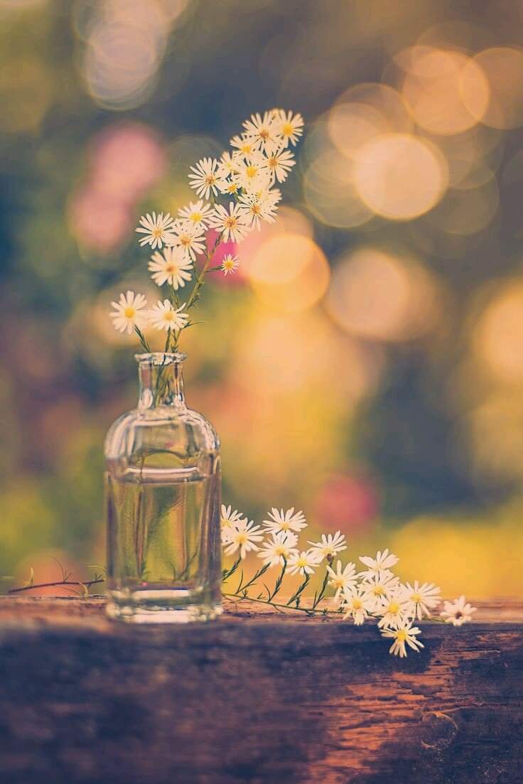 ���� ���� ������ �� ���� ������