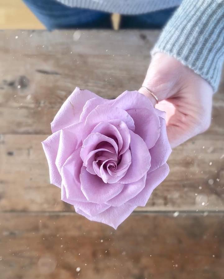 ���� ���� ������ �� ���� ������