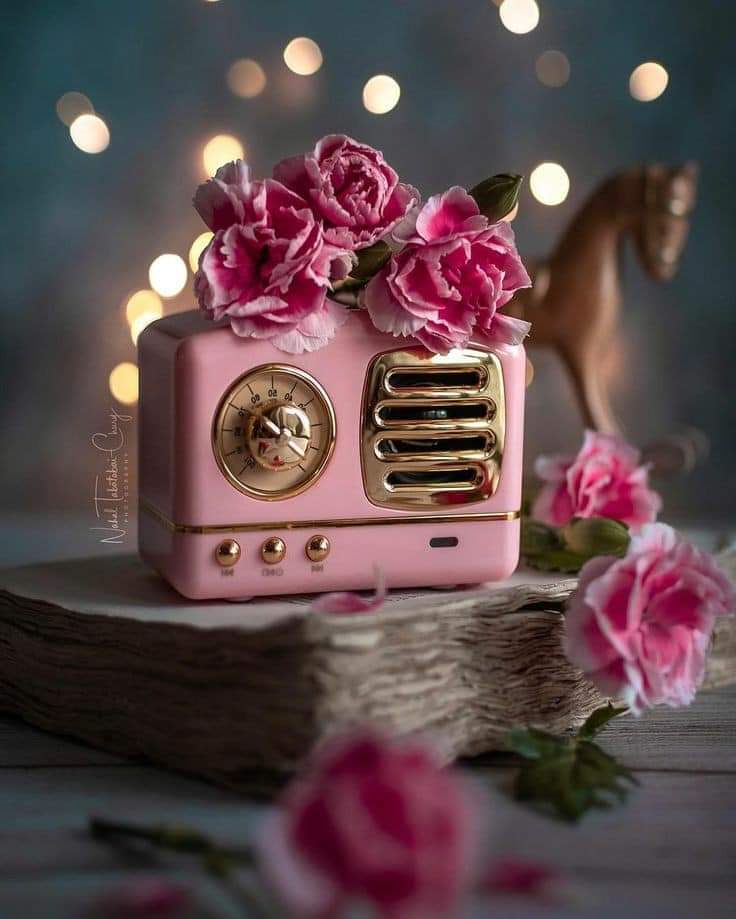 ���� ���� ������ �� ���� ������