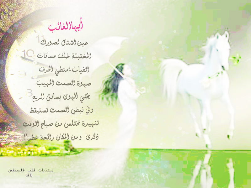 ���� ���� ������ �� ���� ������