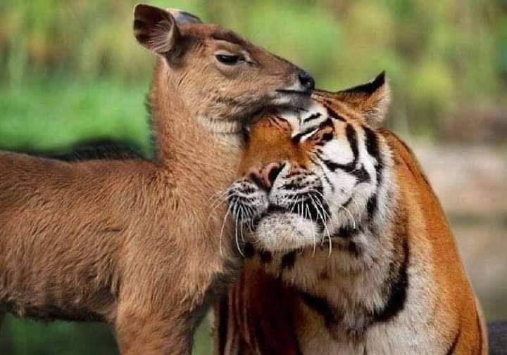 ���� ���� ������ �� ���� ������