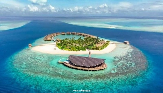  جولة في جزر المالديف ومعرفة طقوس السياحة الامنة 2021 P_18941t2mt1