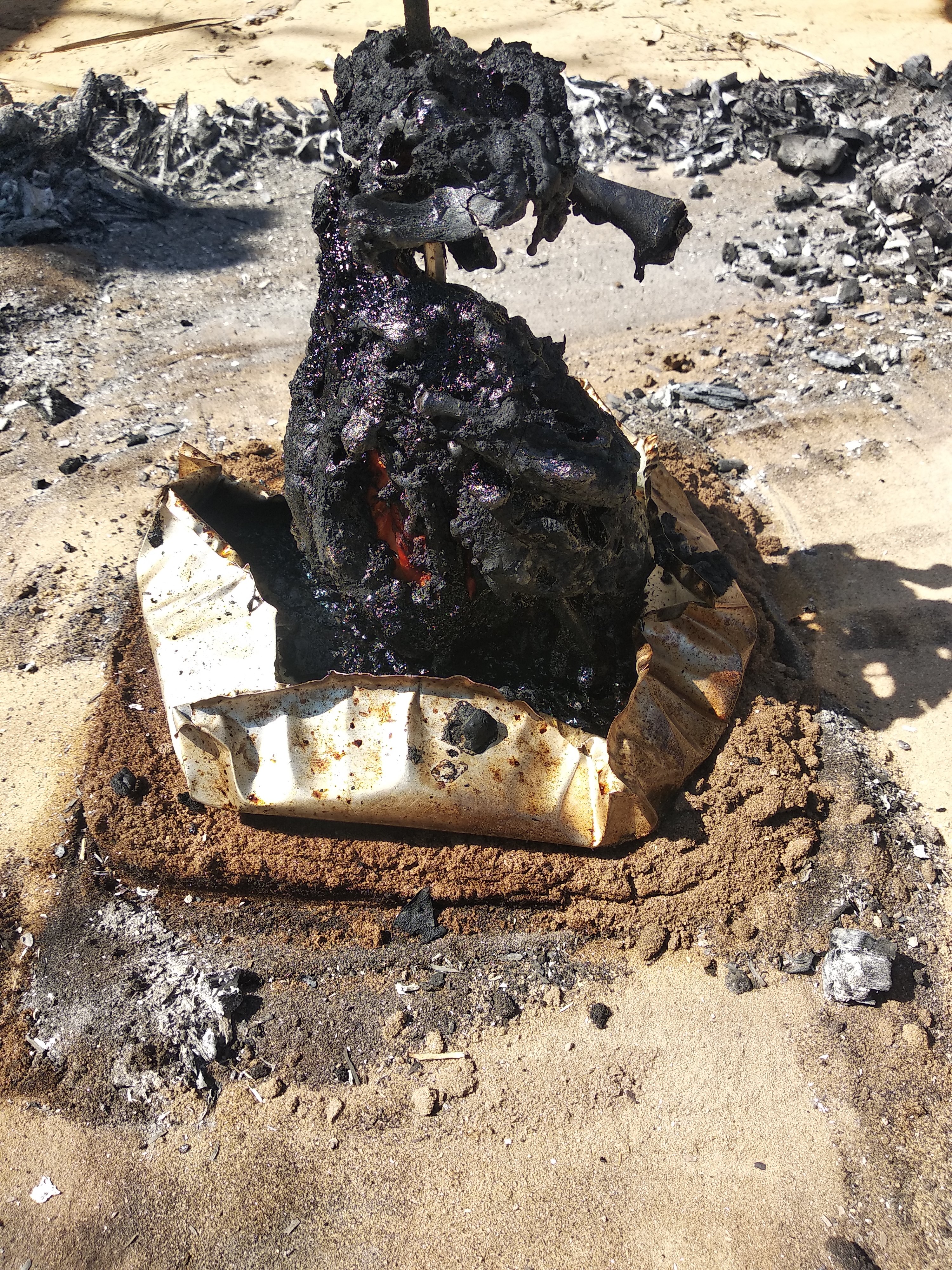 ���� ���� ������ �� ���� ������