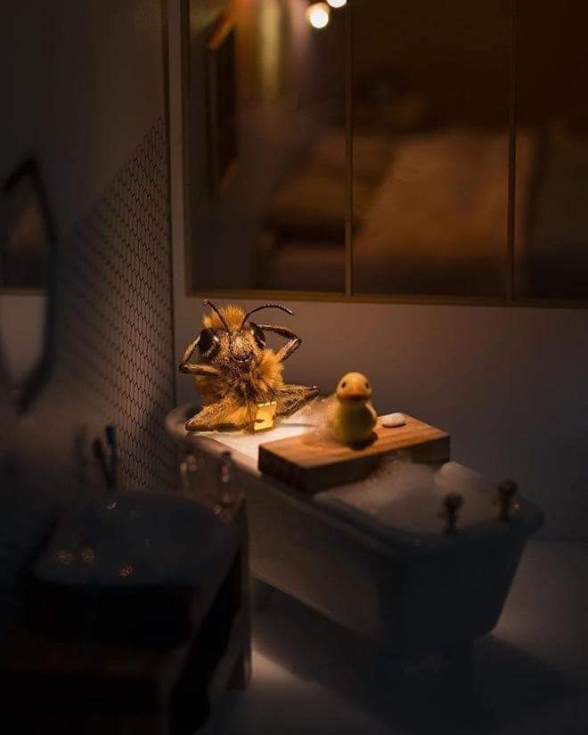 ���� ���� ������ �� ���� ������