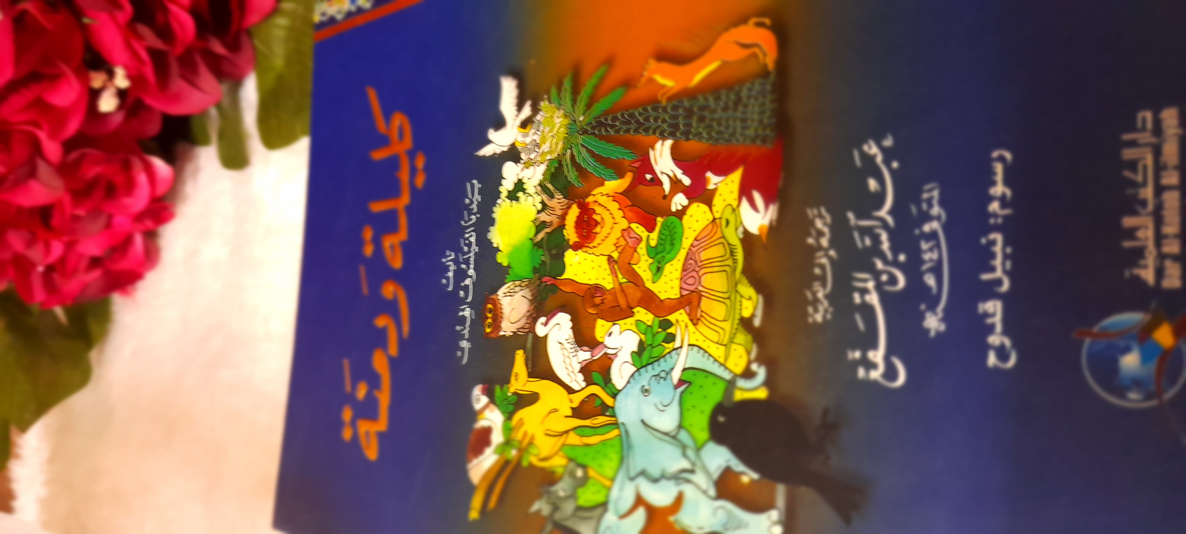 ���� ���� ������ �� ���� ������