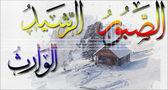 نقره لعرض الصورة في صفحة مستقلة