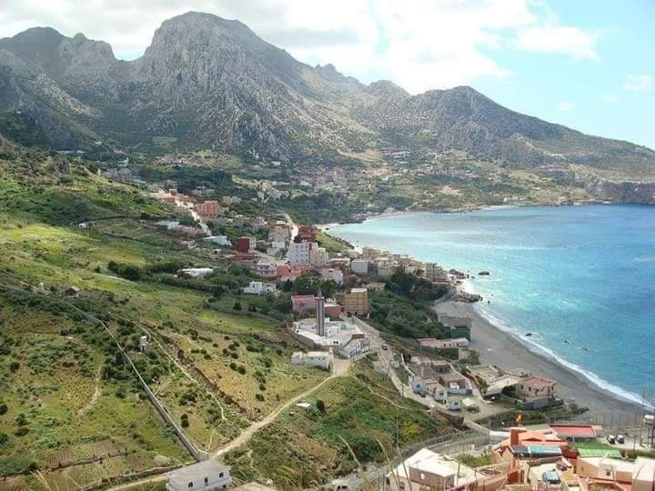 ���� ���� ������ �� ���� ������