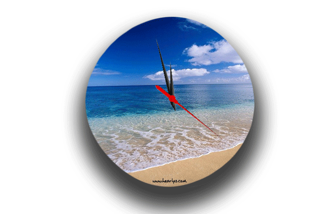 ���� ���� ������ �� ���� ������