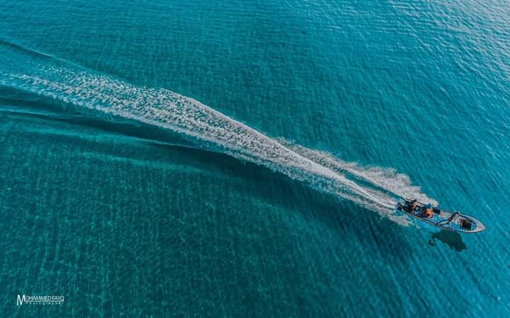 ���� ���� ������ �� ���� ������