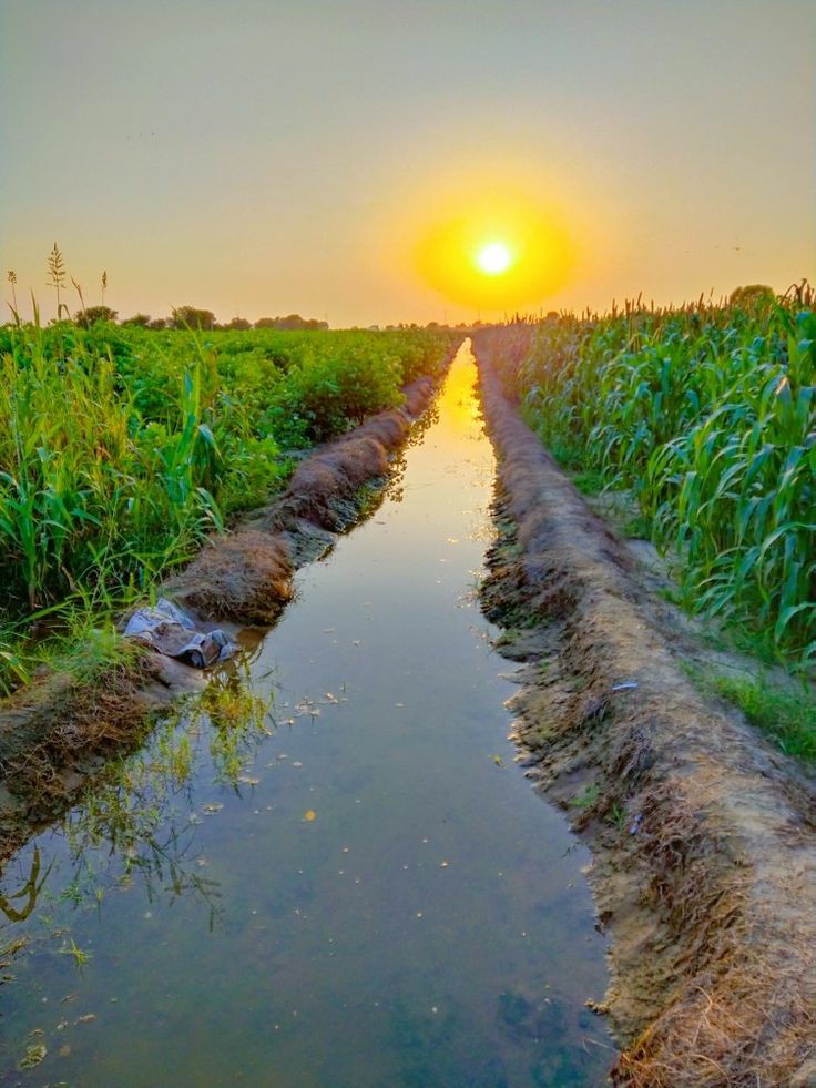 ���� ���� ������ �� ���� ������