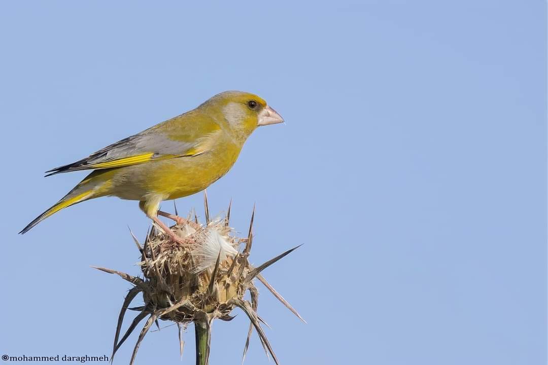 ���� ���� ������ �� ���� ������