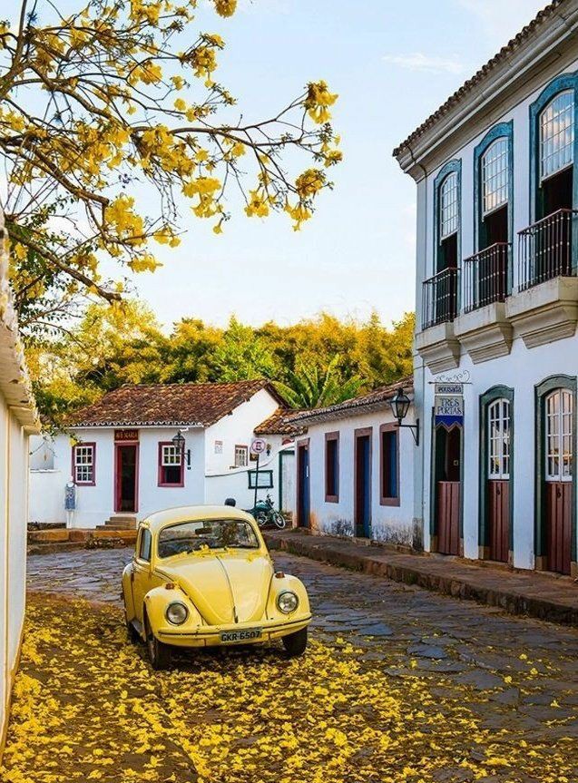 ���� ���� ������ �� ���� ������