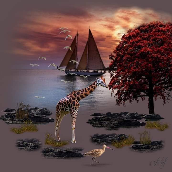 ���� ���� ������ �� ���� ������