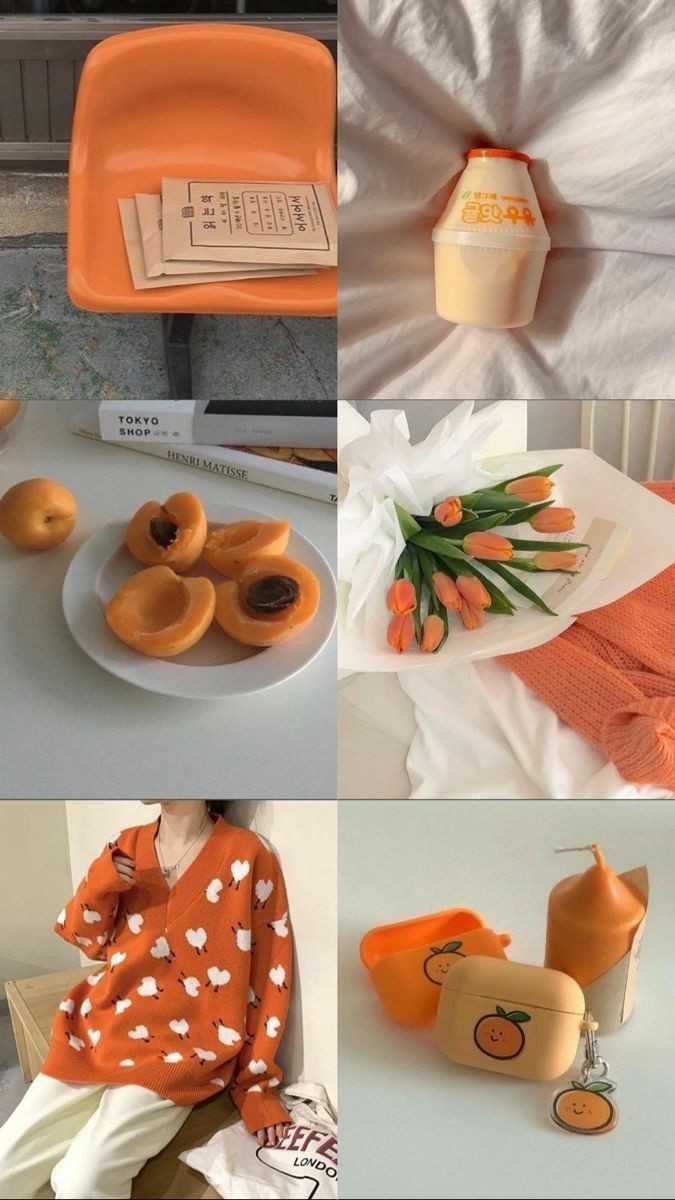 ���� ���� ������ �� ���� ������