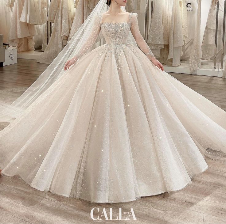 ���� ���� ������ �� ���� ������