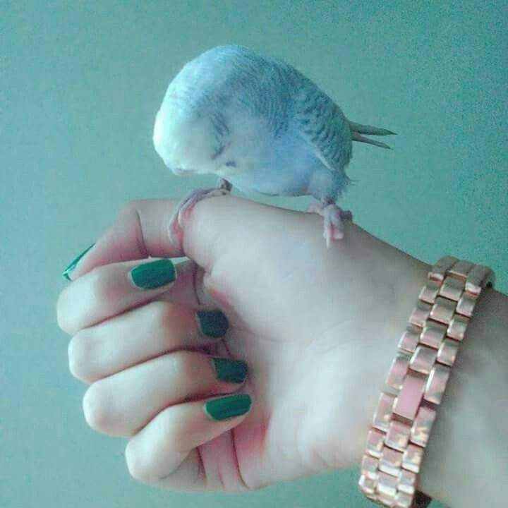 ���� ���� ������ �� ���� ������