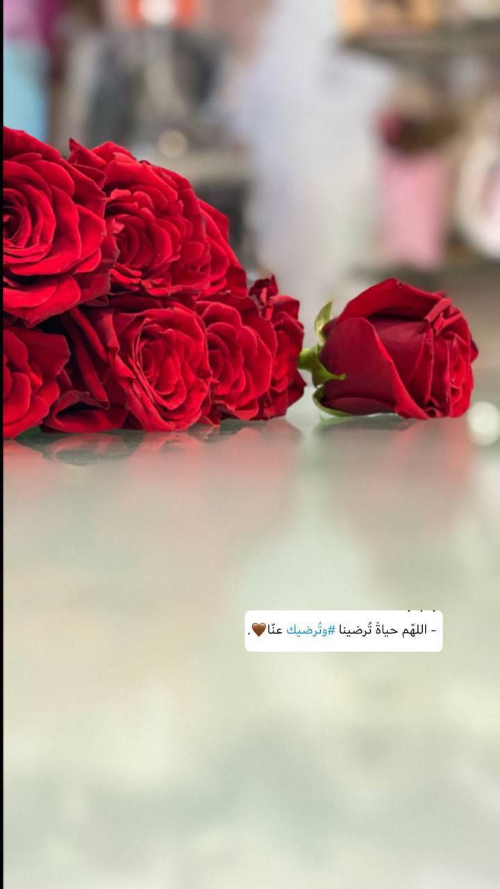 ���� ���� ������ �� ���� ������