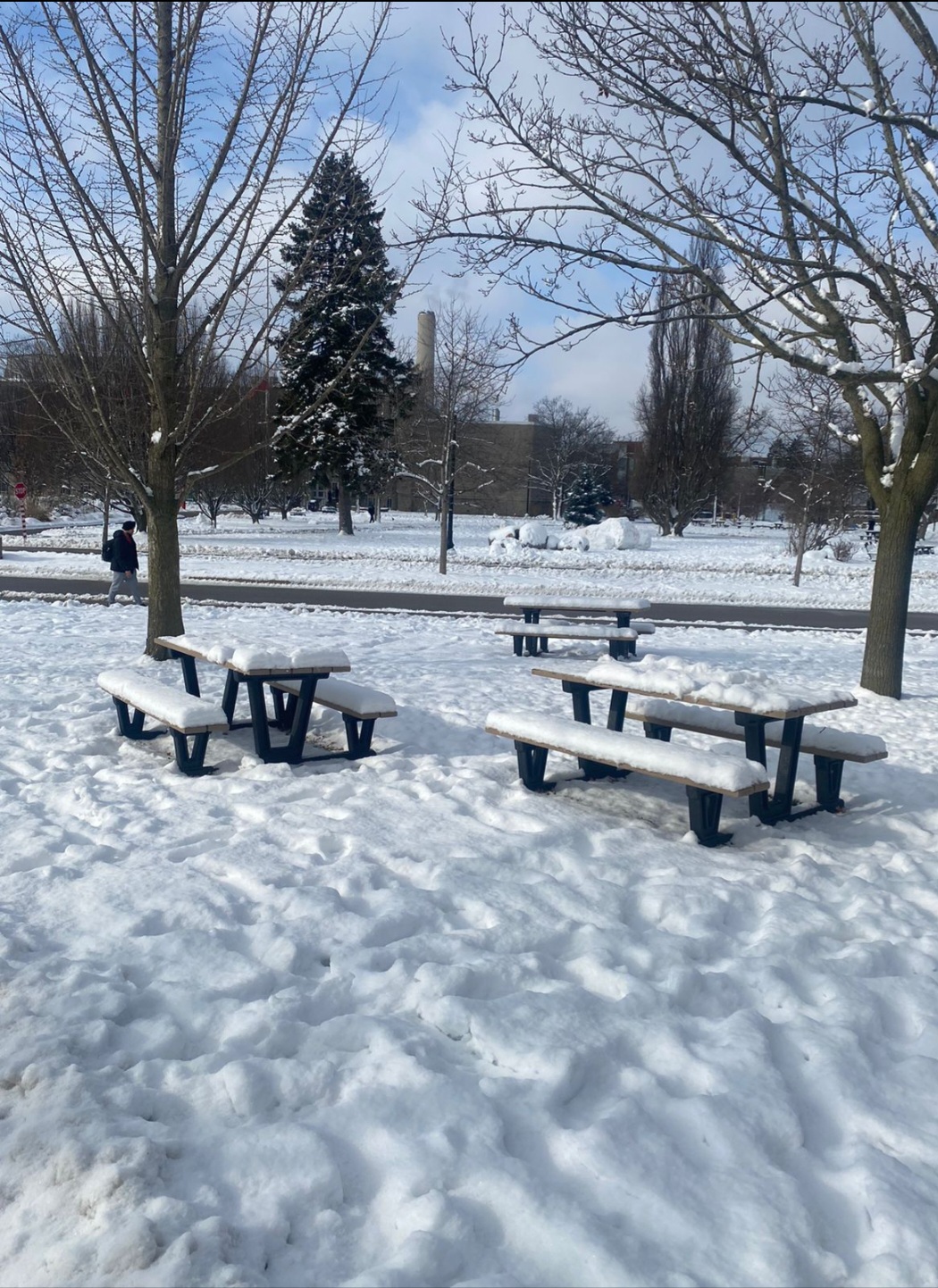 ���� ���� ������ �� ���� ������