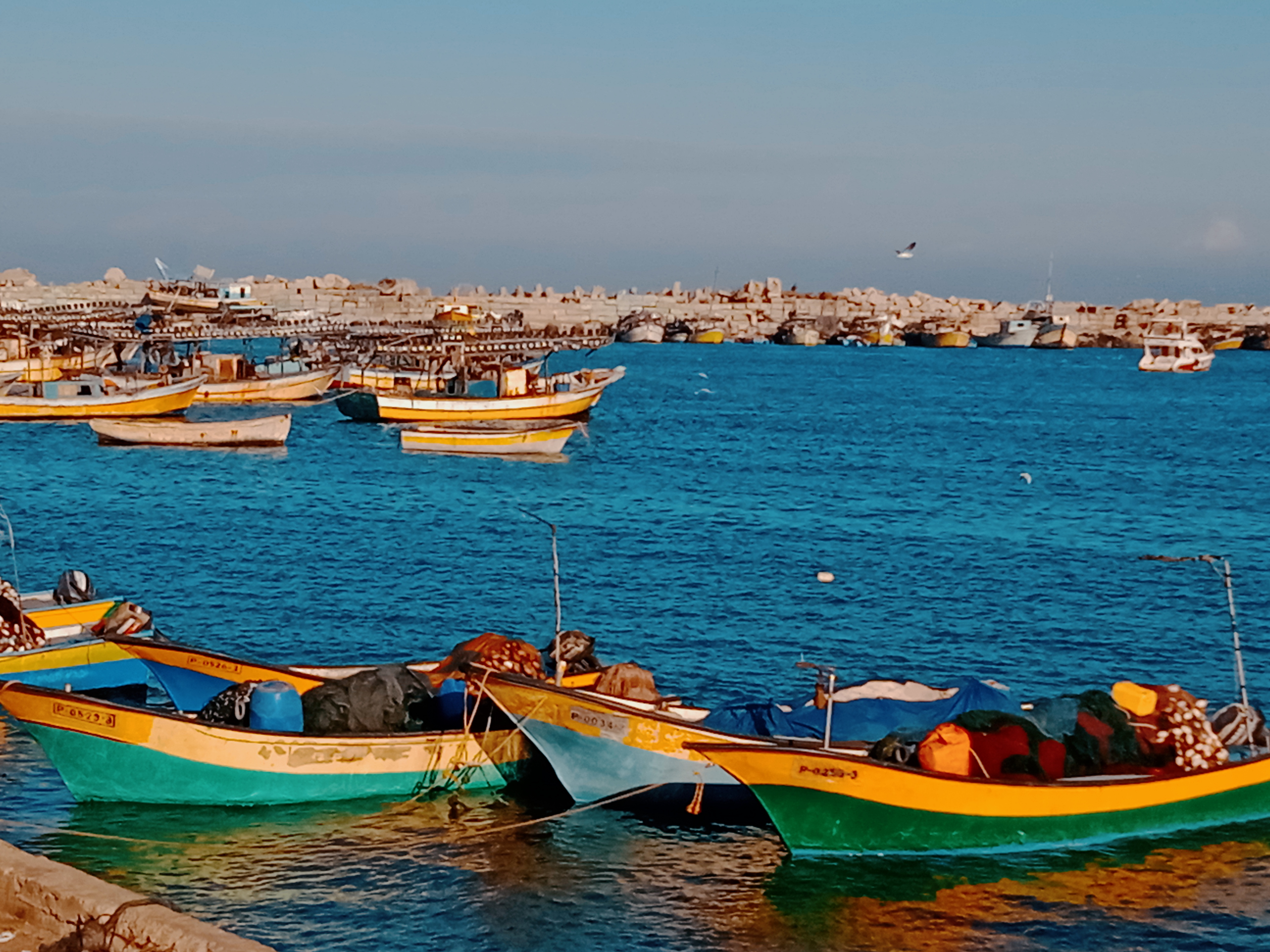 نقره لعرض الصورة في صفحة مستقلة