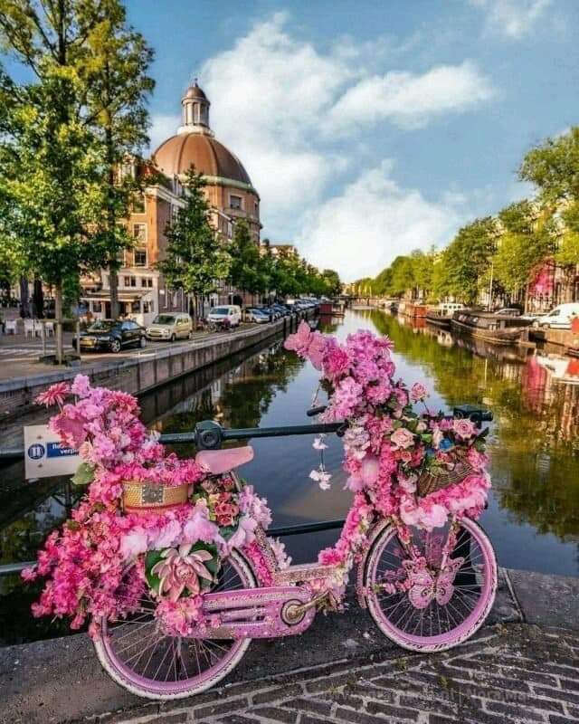 ���� ���� ������ �� ���� ������