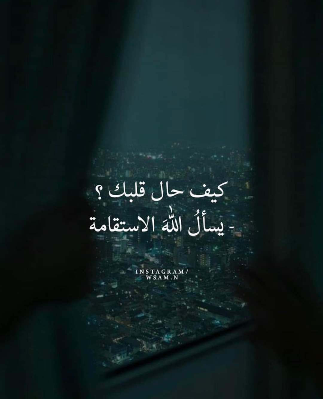 ���� ���� ������ �� ���� ������