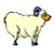 ب8