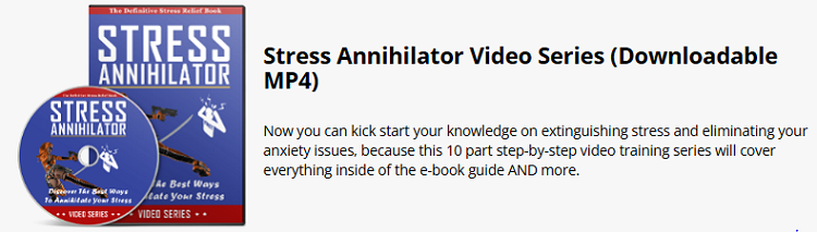 Stress Annihilator Video Series