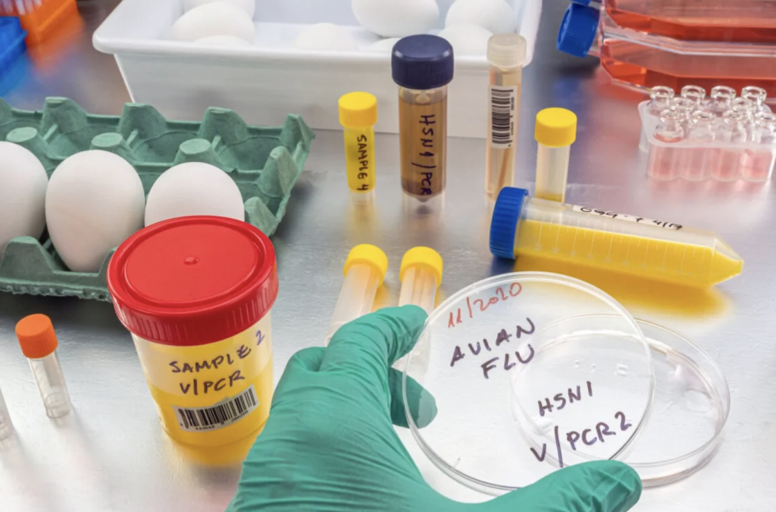 ����� ����� ���� ����� 2025 p_3289sa9jn0.jpeg