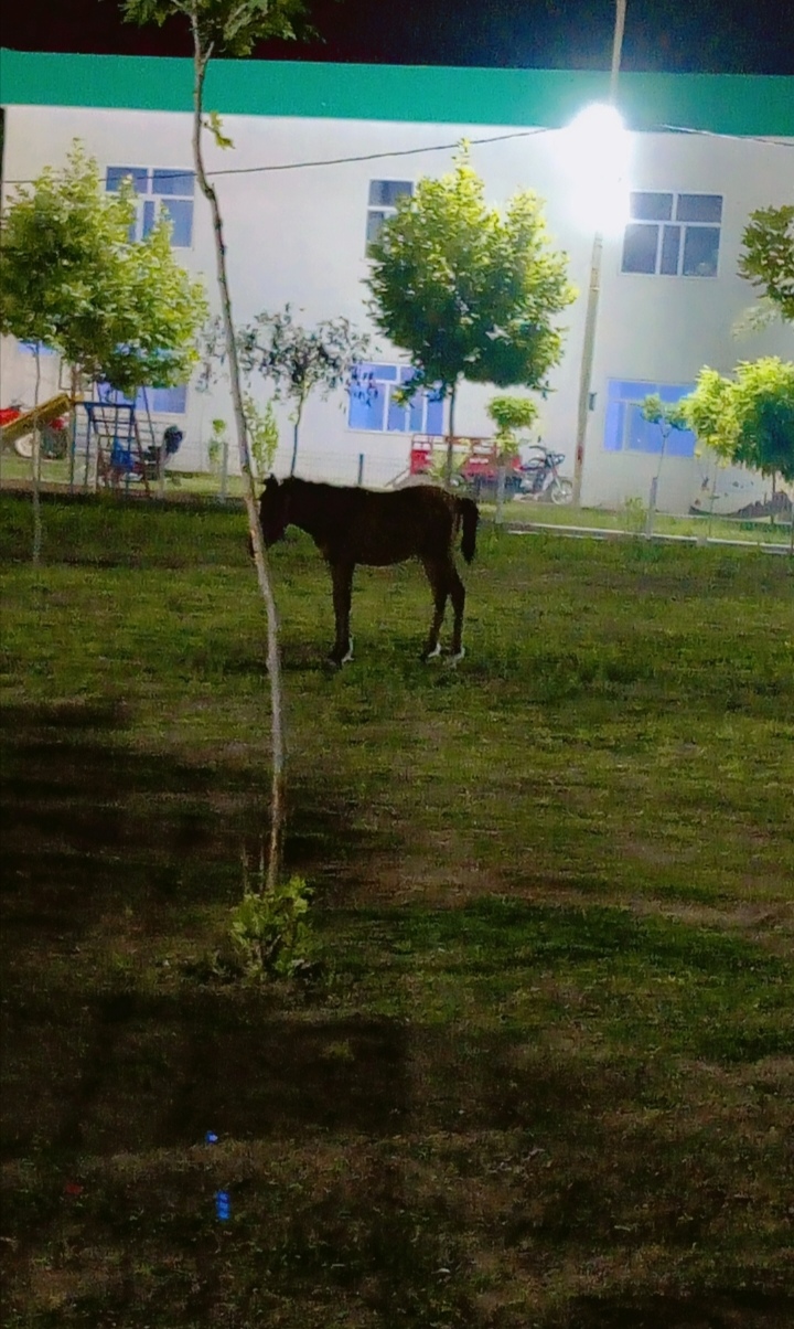 عدستي تصويري amp128247