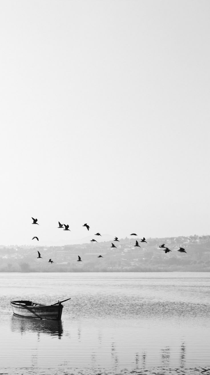 ���� ���� ������ �� ���� ������