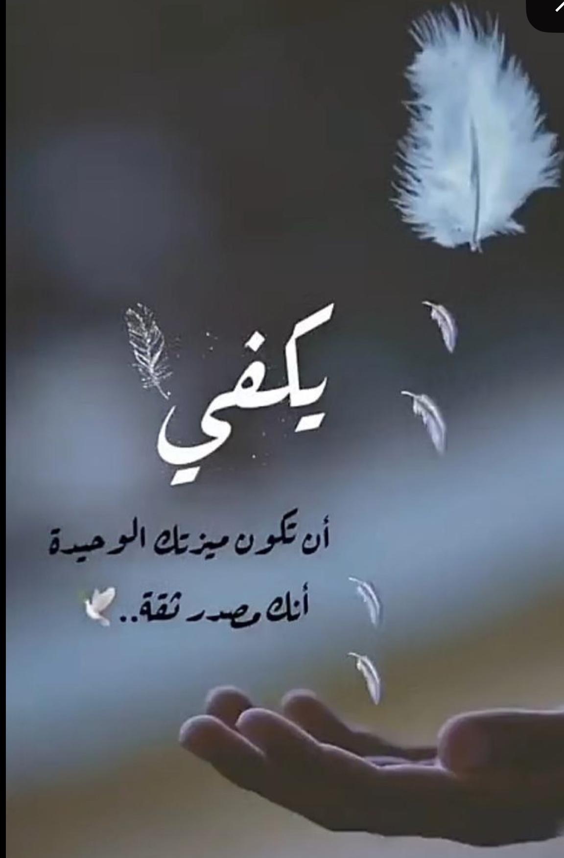 ������ ���� ������ �� ���� ������