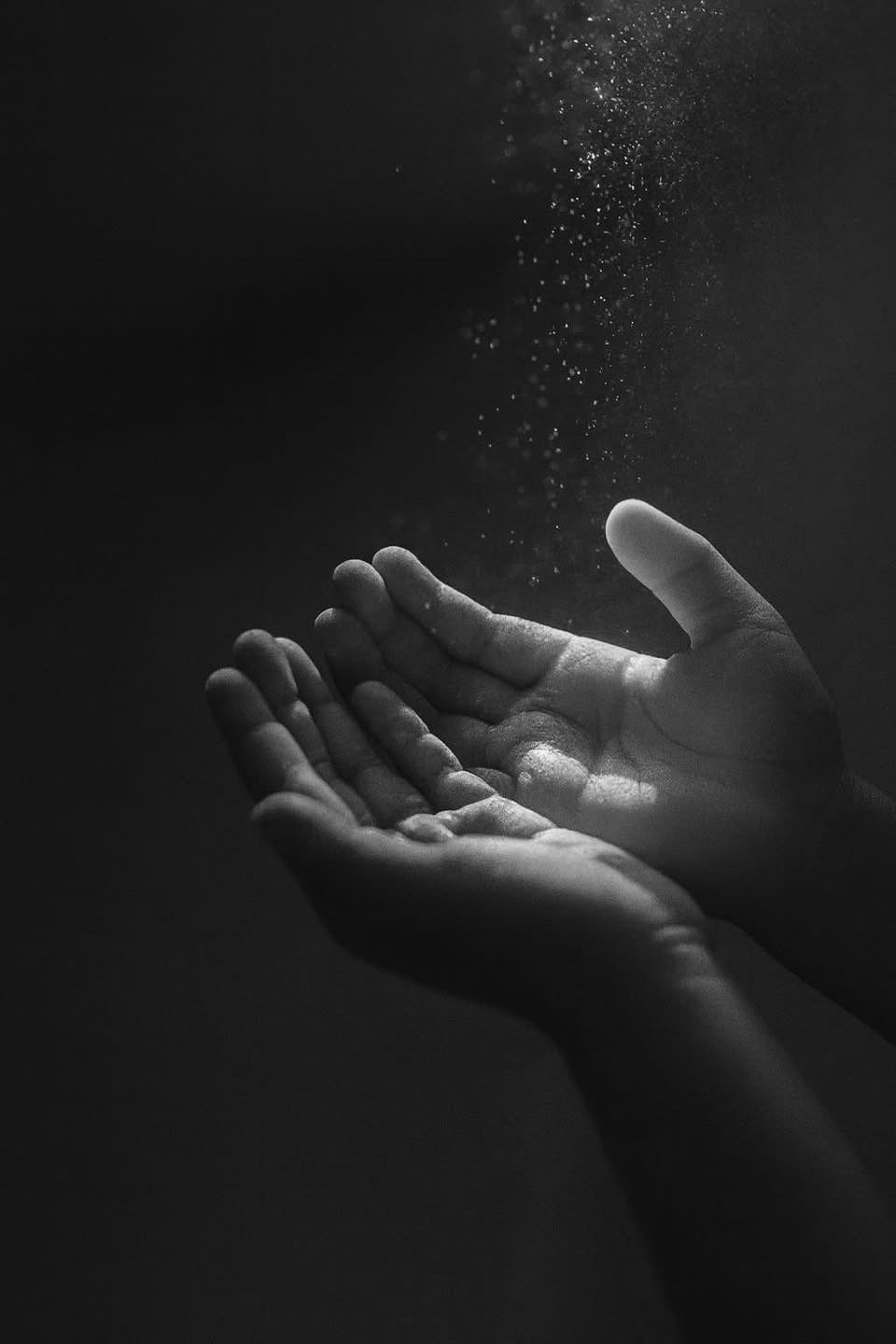 ������ ���� ������ �� ���� ������