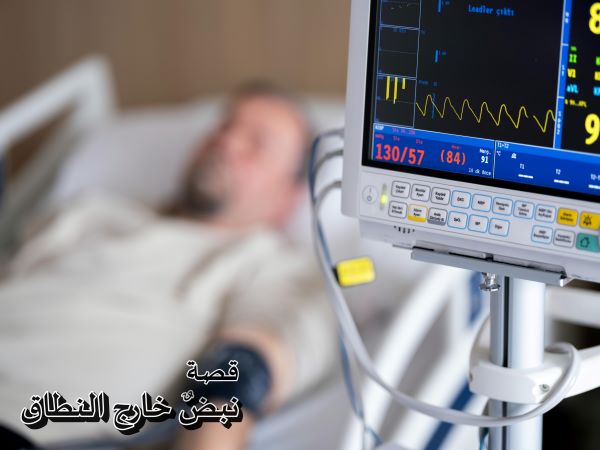 ���� ����� �������