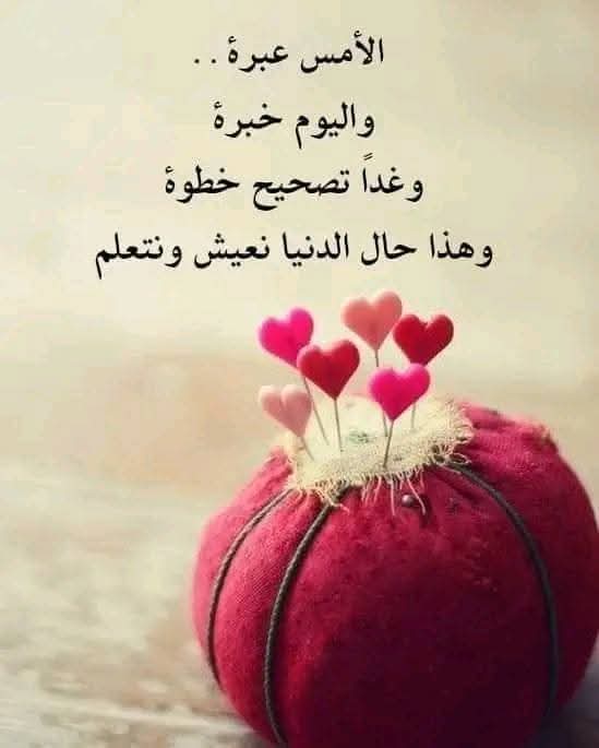 ����� ������ ������� 