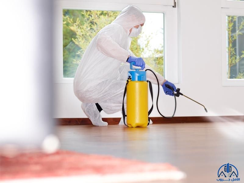 افضل شركة مكافحة حشرات بالرياض