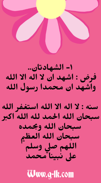أركان الإسلام